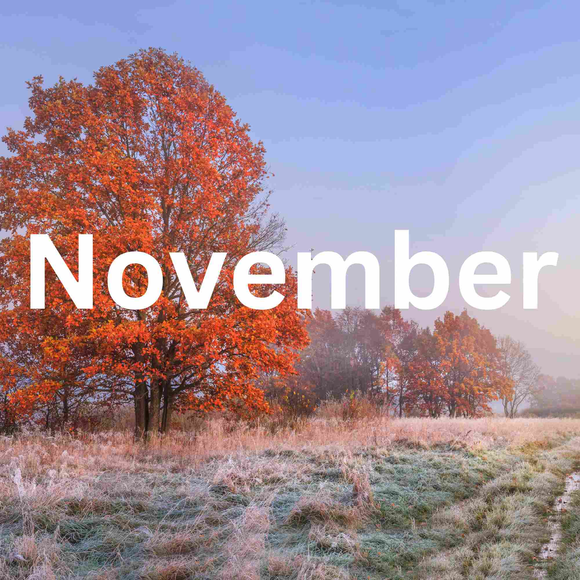 November