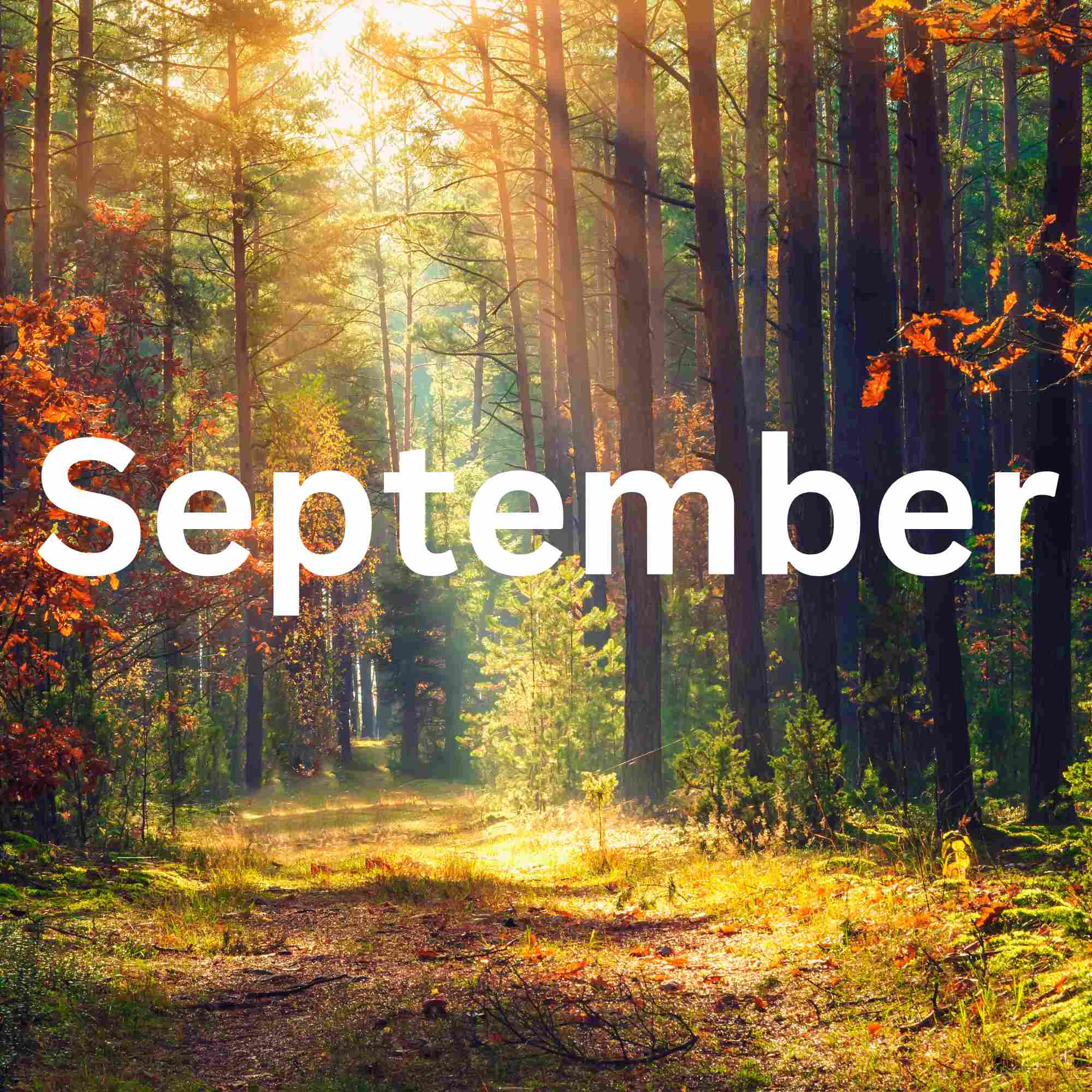 September